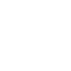 Model Avize